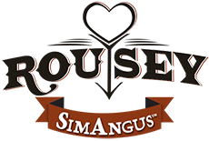 Rousey SimAngus