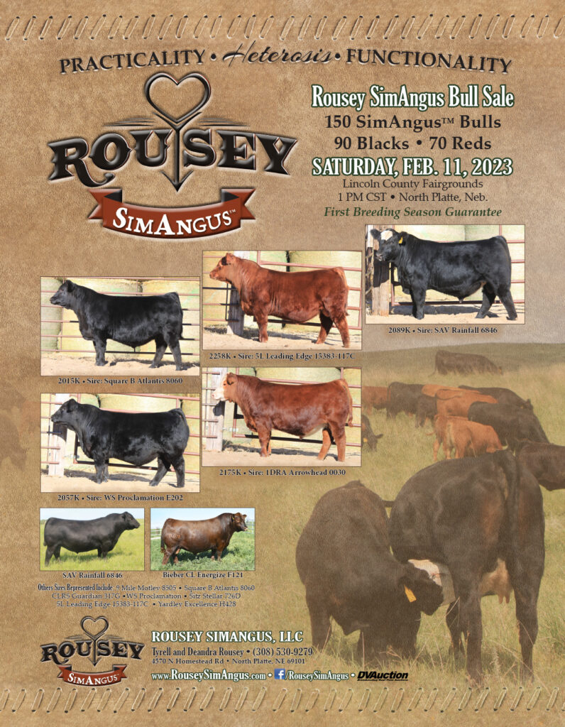 Rousey Sim Angus 2023 Bull Sale